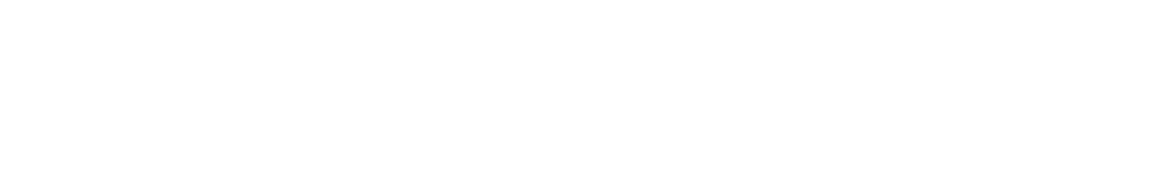 sybrid