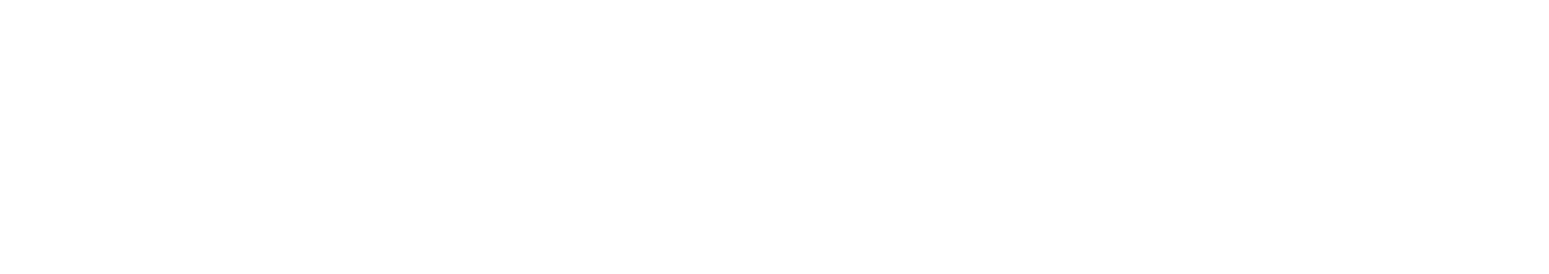 sybrid
