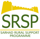 sybrid