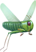 sybrid
                        